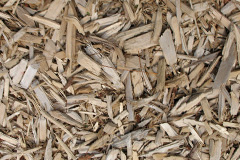 biomass boilers Totardor
